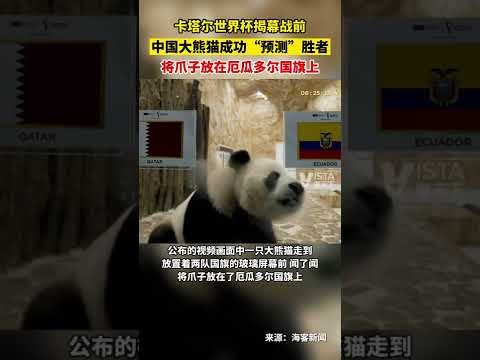 世界杯,资讯,世界杯2023,世界杯,世界杯2023,足球赛事,世界杯赛程,世界杯新闻,足球比赛,世界杯比分,世界杯直播,世界杯历史