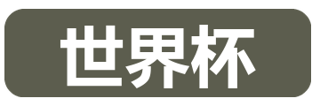 世界杯